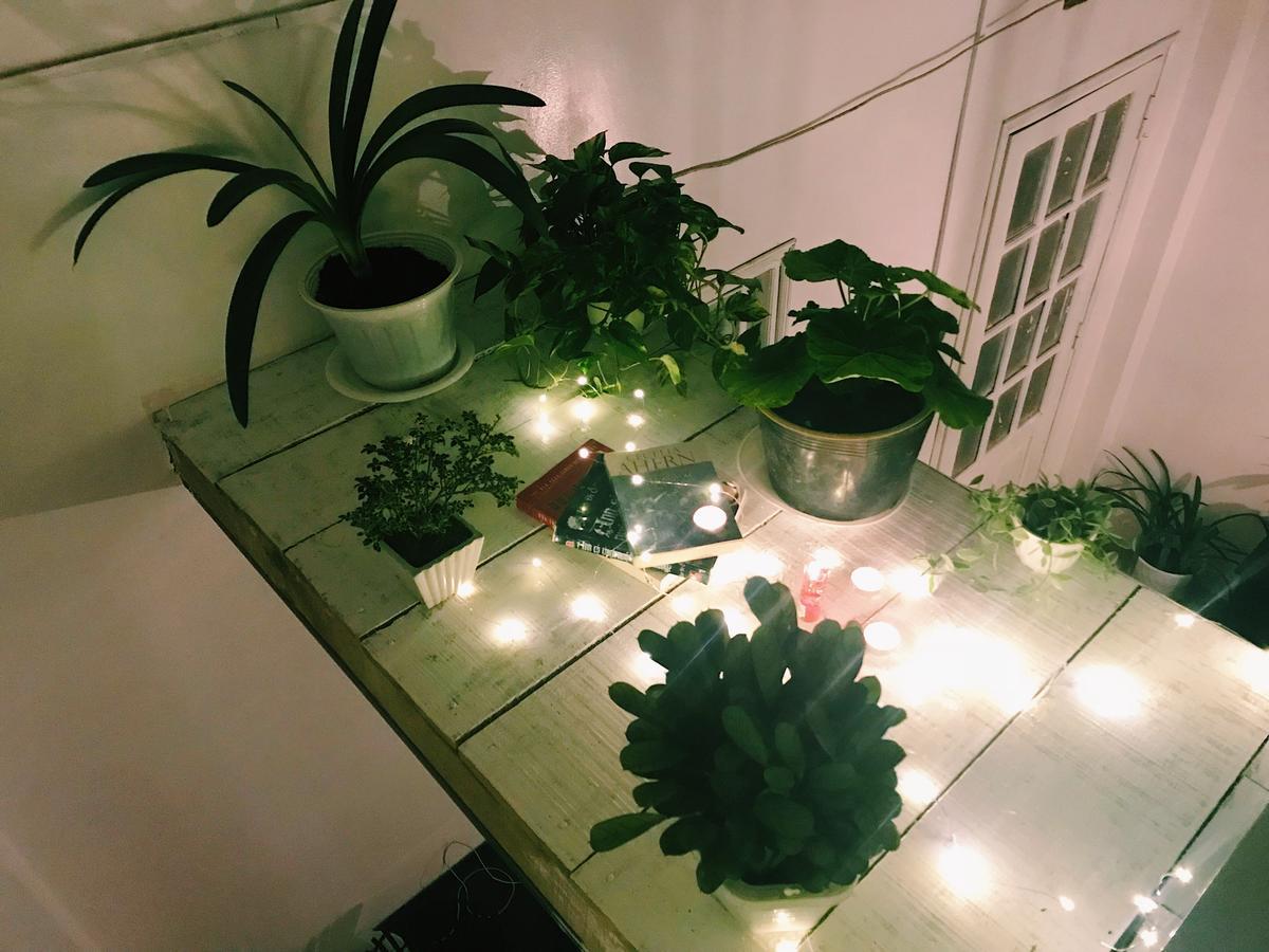 The Balcony Bnb Da Lat Esterno foto